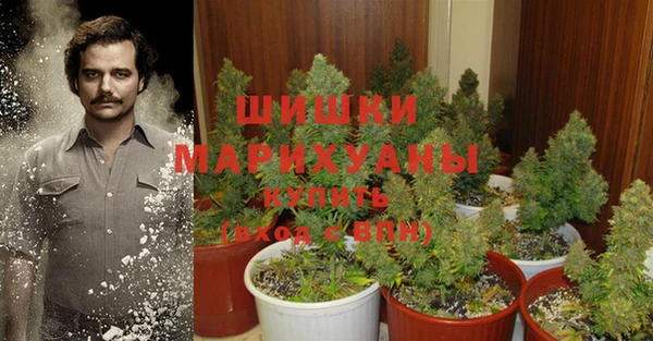 кокс Богородицк