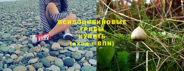 МДПВ Бугульма