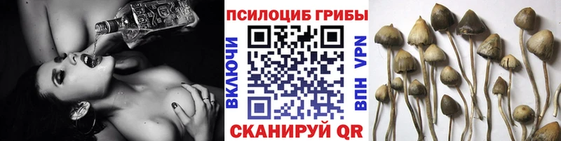 Галлюциногенные грибы мухоморы  Купить где  Октябрьск 